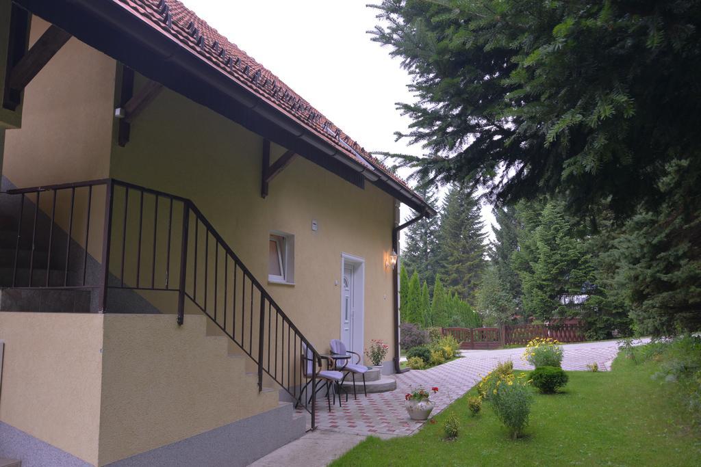 Dobrila Apartments Zlatibor Exterior photo