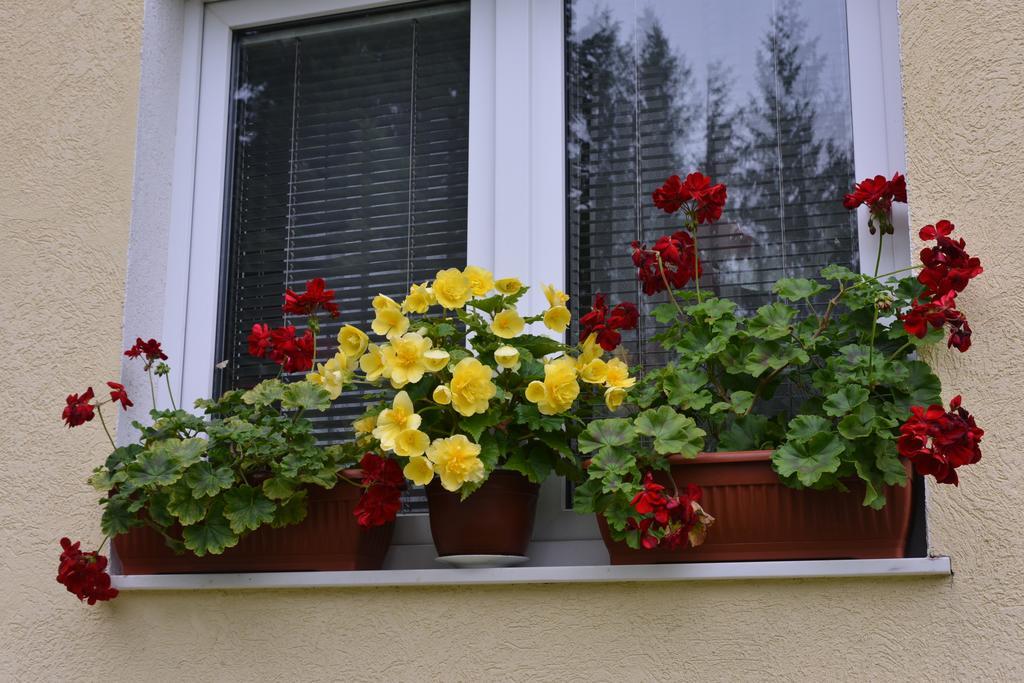 Dobrila Apartments Zlatibor Exterior photo